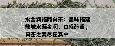 水金润福鼎白茶：品味福建鼎城水源金润、口感醇香，白茶之美尽在其中