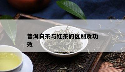 普洱白茶与红茶的区别及功效