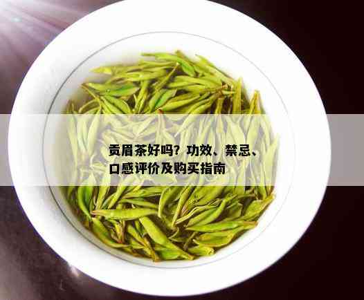 贡眉茶好吗？功效、禁忌、口感评价及购买指南