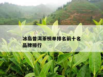 冰岛普洱茶榜单排名前十名品牌排行