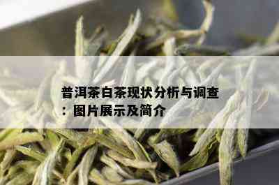 普洱茶白茶现状分析与调查：图片展示及简介