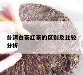 普洱白茶红茶的区别及比较分析