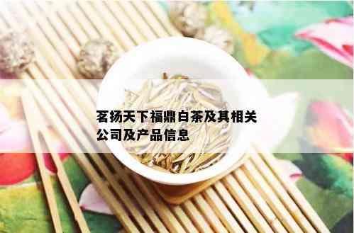 茗扬天下福鼎白茶及其相关公司及产品信息