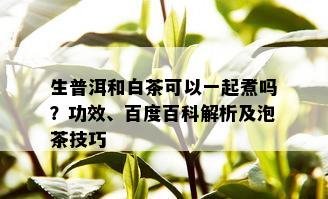 生普洱和白茶可以一起煮吗？功效、百度百科解析及泡茶技巧