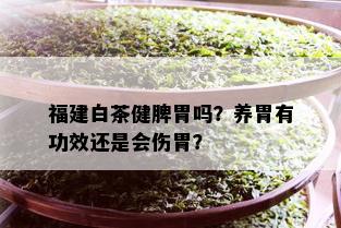 福建白茶健脾胃吗？养胃有功效还是会伤胃？