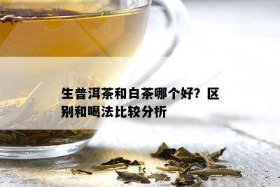 生普洱茶和白茶哪个好？区别和喝法比较分析