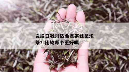 贡眉白牡丹适合煮茶还是泡茶？比较哪个更好喝