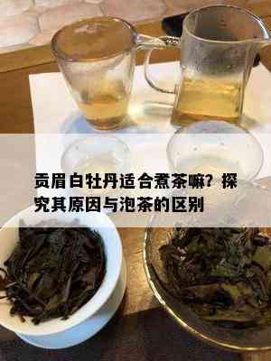 贡眉白牡丹适合煮茶嘛？探究其原因与泡茶的区别