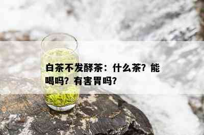 白茶不发酵茶：什么茶？能喝吗？有害胃吗？