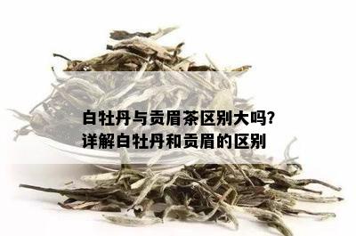 白牡丹与贡眉茶区别大吗？详解白牡丹和贡眉的区别