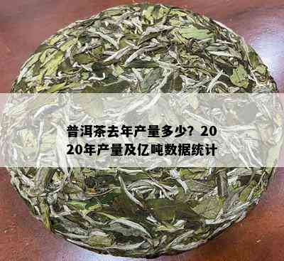 普洱茶去年产量多少？2020年产量及亿吨数据统计