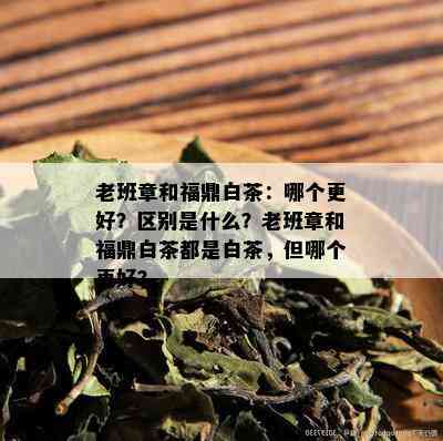 老班章和福鼎白茶：哪个更好？区别是什么？老班章和福鼎白茶都是白茶，但哪个更好？