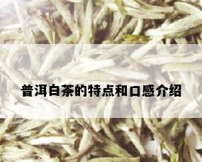 普洱白茶的特点和口感介绍