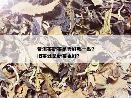 普洱茶新茶是否好喝一些？旧茶还是新茶更好？