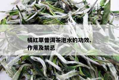 橘红草普洱茶泡水的功效、作用及禁忌