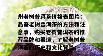 州老树普洱茶价格表图片：品鉴老树普洱茶的方法和注意事，购买老树普洱茶的推荐品牌和渠道，了解老树普洱茶的历史和文化背景。