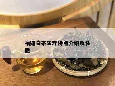 福鼎白茶生理特点介绍及性质