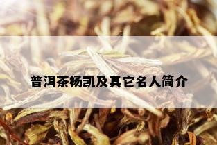 普洱茶杨凯及其它名人简介