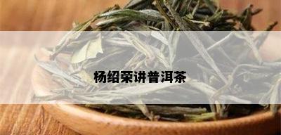 杨绍荣讲普洱茶