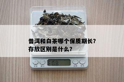 普洱和白茶哪个保质期长？存放区别是什么？