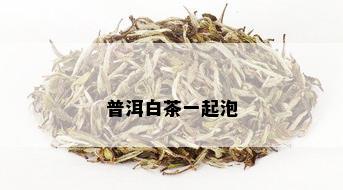 普洱白茶一起泡