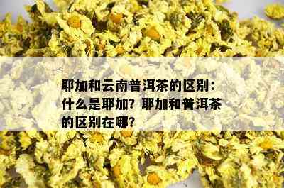 耶加和云南普洱茶的区别：什么是耶加？耶加和普洱茶的区别在哪？