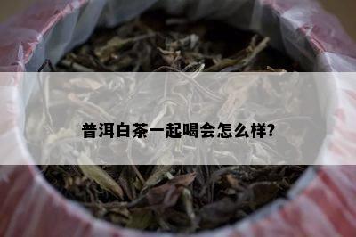 普洱白茶一起喝会怎么样？