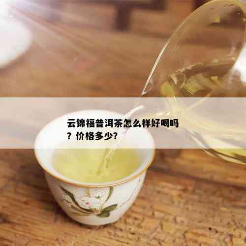 云锦福普洱茶怎么样好喝吗？价格多少？