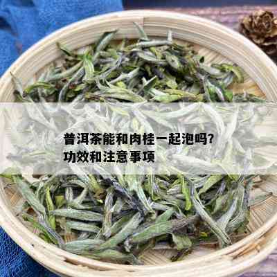 普洱茶能和肉桂一起泡吗？功效和注意事项