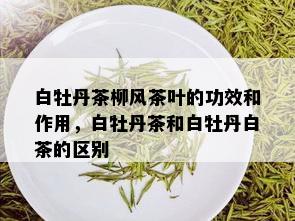 白牡丹茶柳风茶叶的功效和作用，白牡丹茶和白牡丹白茶的区别