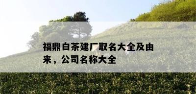 福鼎白茶建厂取名大全及由来，公司名称大全