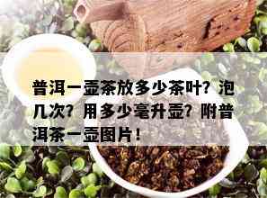 普洱一壶茶放多少茶叶？泡几次？用多少毫升壶？附普洱茶一壶图片！