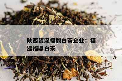 陕西资深福鼎白茶企业：福建福鼎白茶