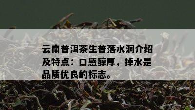 云南普洱茶生普落水洞介绍及特点：口感醇厚，掉水是品质优良的标志。