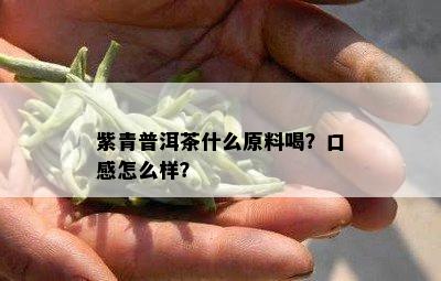 紫青普洱茶什么原料喝？口感怎么样？