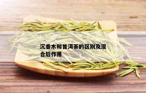 沉香木和普洱茶的区别及混合后作用