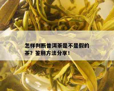 怎样判断普洱茶是不是假的茶？鉴别方法分享！