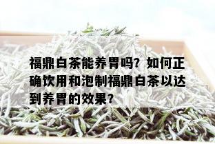 福鼎白茶能养胃吗？如何正确饮用和泡制福鼎白茶以达到养胃的效果？