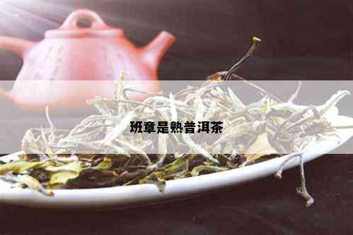 班章是熟普洱茶