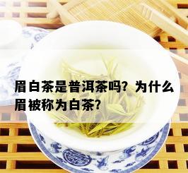 眉白茶是普洱茶吗？为什么眉被称为白茶？