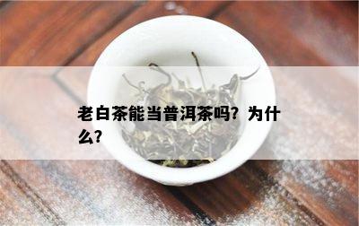 老白茶能当普洱茶吗？为什么？