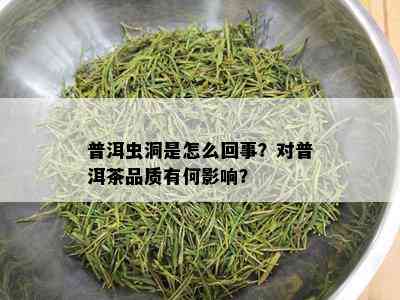 普洱虫洞是怎么回事？对普洱茶品质有何影响？