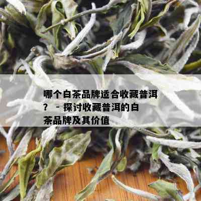 哪个白茶品牌适合收藏普洱？ - 探讨收藏普洱的白茶品牌及其价值