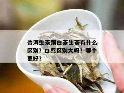 普洱生茶跟白茶生茶有什么区别？口感区别大吗？哪个更好？