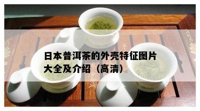 日本普洱茶的外壳特征图片大全及介绍（高清）