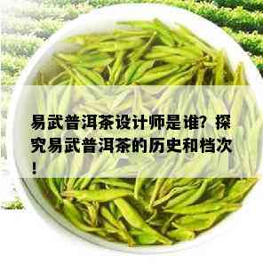 易武普洱茶设计师是谁？探究易武普洱茶的历史和档次！