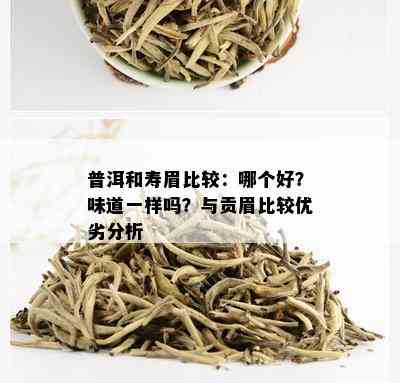 普洱和寿眉比较：哪个好？味道一样吗？与贡眉比较优劣分析