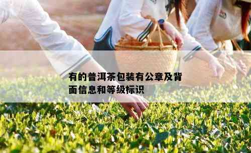 有的普洱茶包装有公章及背面信息和等级标识