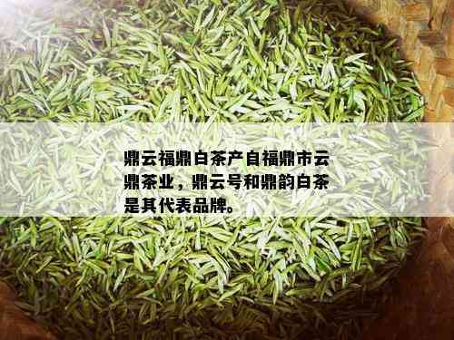 鼎云福鼎白茶产自福鼎市云鼎茶业，鼎云号和鼎韵白茶是其代表品牌。