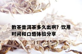 散茶普洱茶多久出啊？饮用时间和口感体验分享